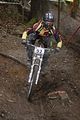 559__DSC0001 (3)
